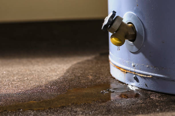 Best Flood restoration services  in University Park, IL