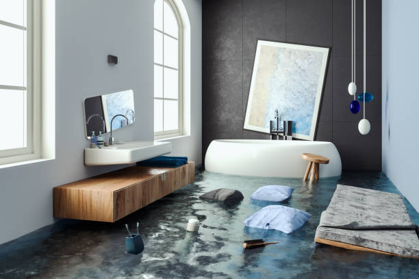 Best Flooded house restoration  in University Park, IL
