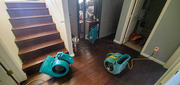 Best Ceiling water damage repair  in University Park, IL