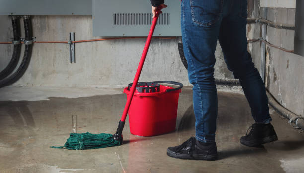 Best Flood restoration services  in University Park, IL