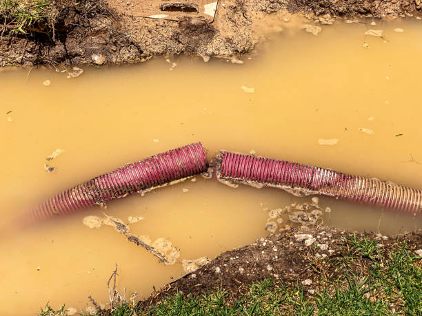 Professional Water damage restoration in University Park, IL